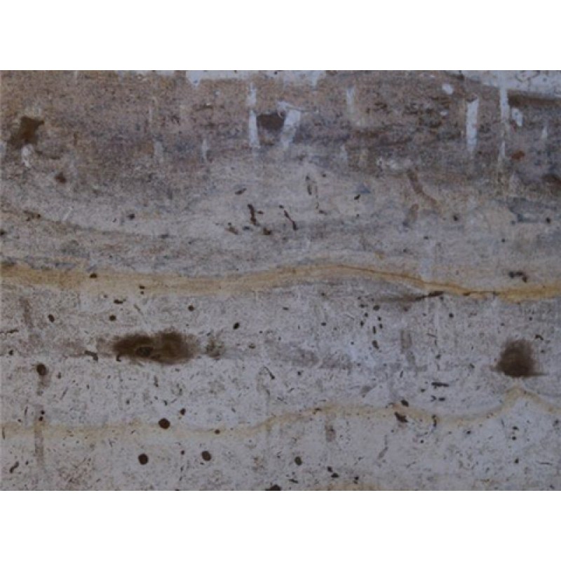 Argentina Beige Wood Stone Marble