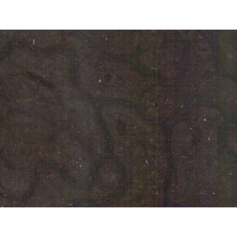 China Brown Dragon Marble