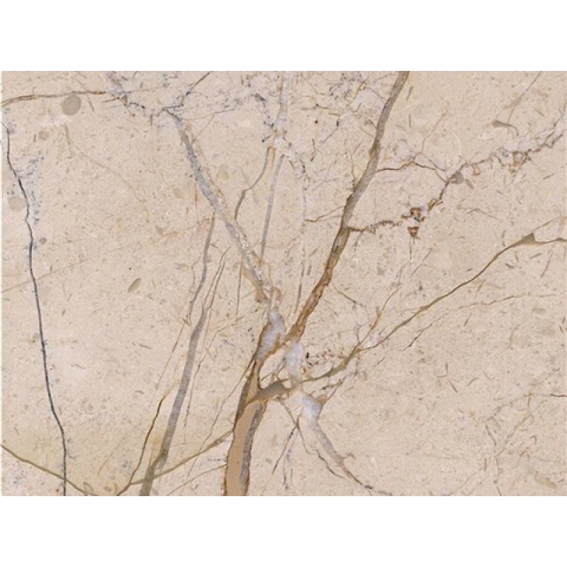 Turkey Gold Net Beige Marble