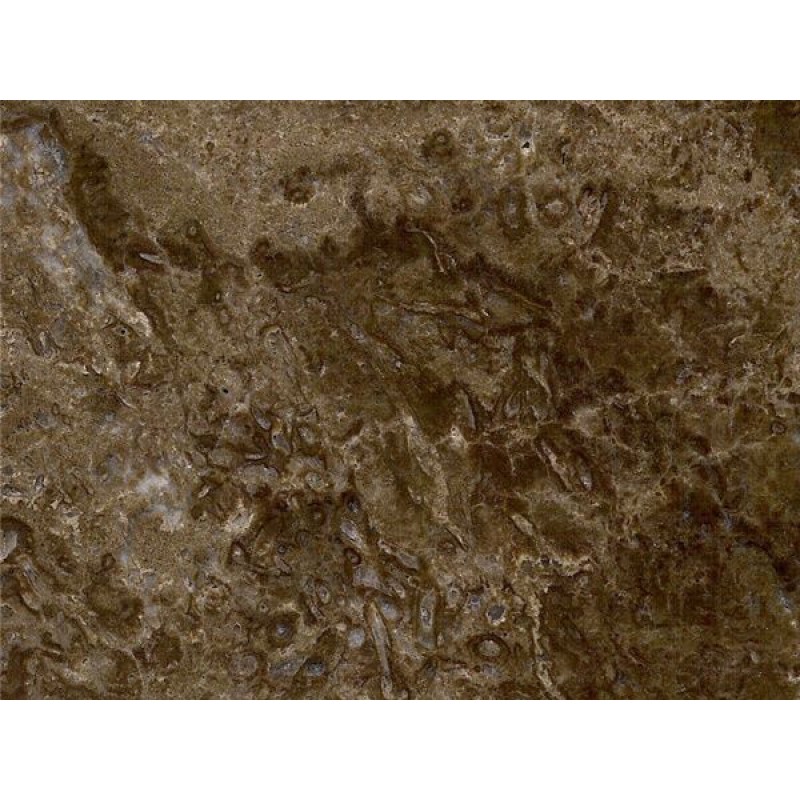 Uruguay Brown Zepia Marble