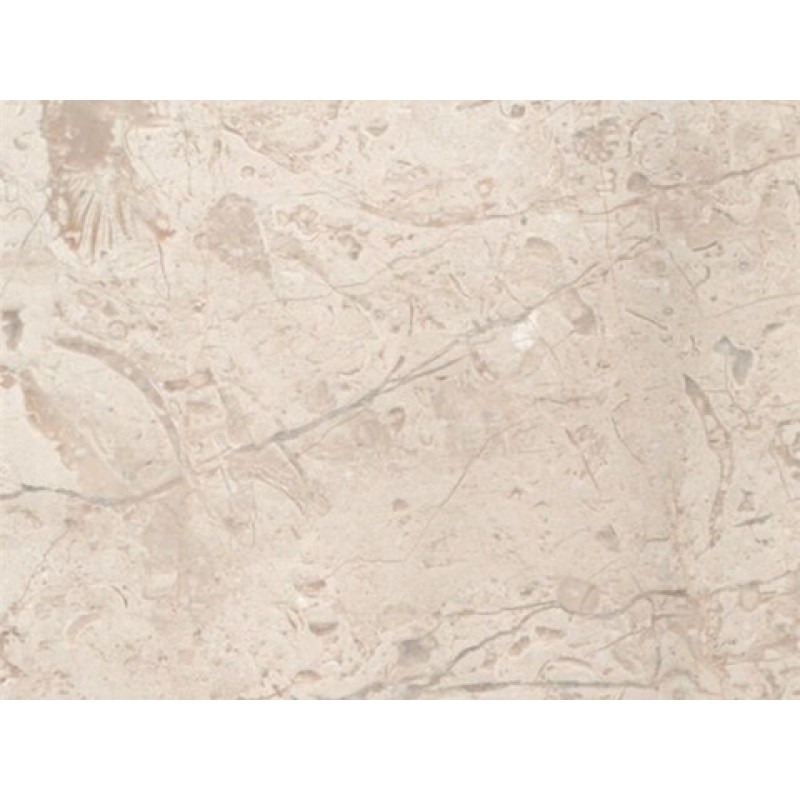 Venezuela Beige Crema Caracol Marble