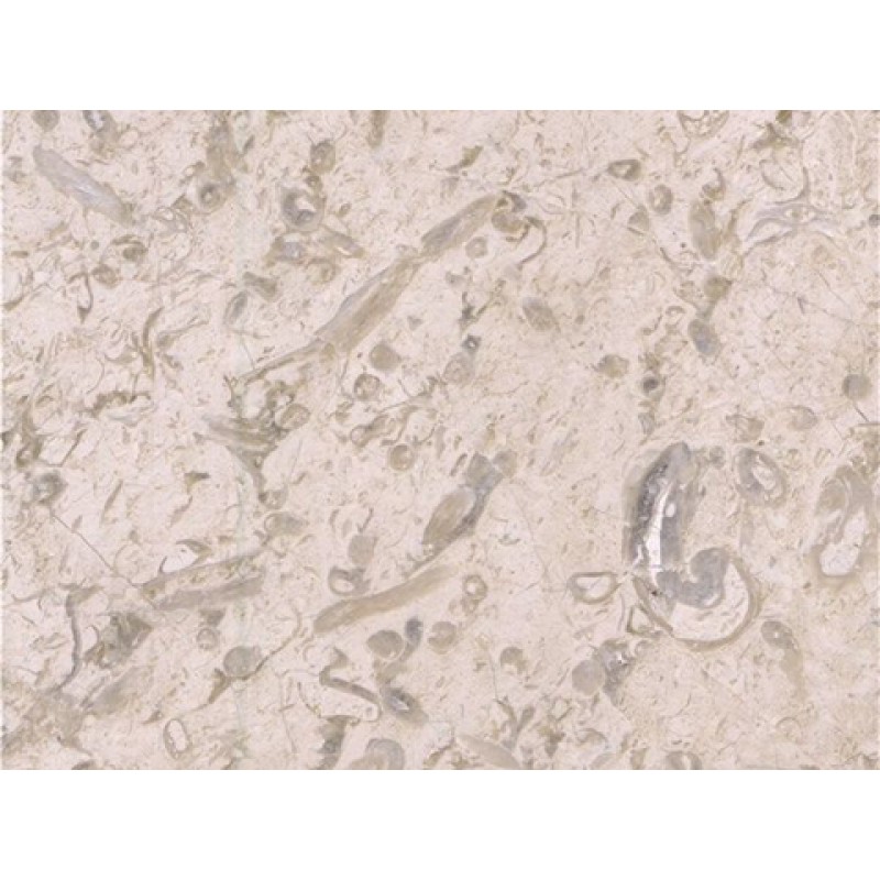 Turkey Nuova Beige Marble