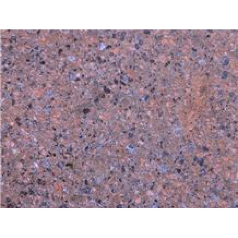  Italy Red Eggentaler Porphyry