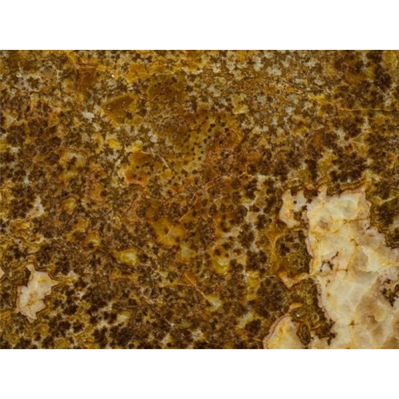  Turkey Yellow  Asena Onyx