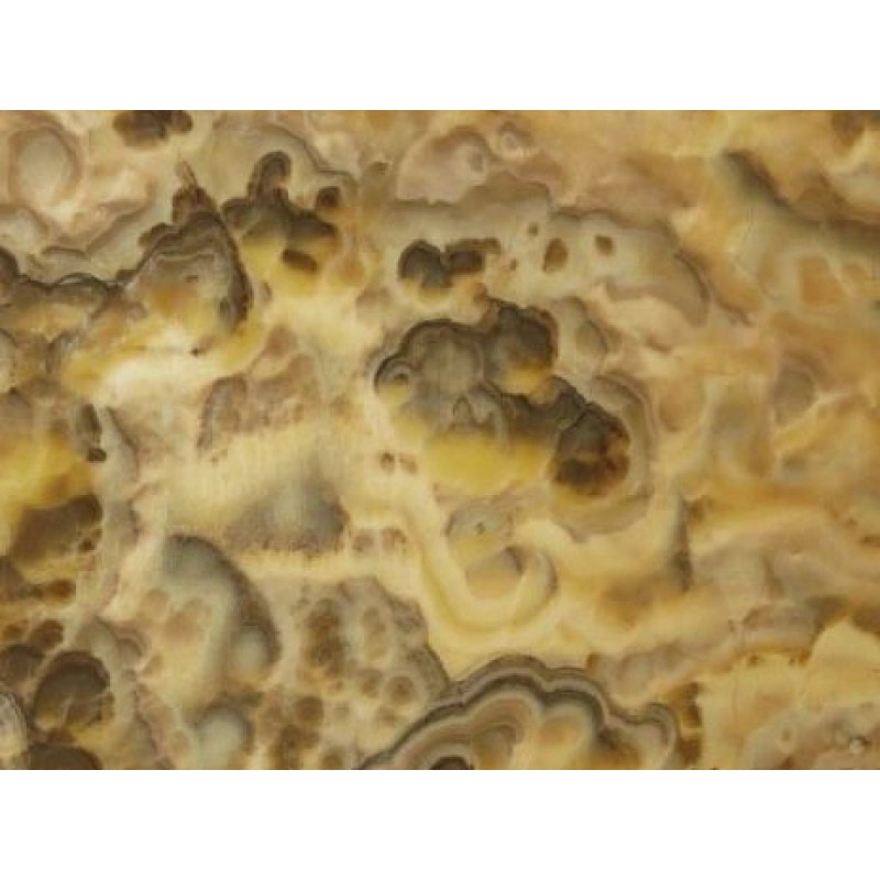 Turkey Yellow Zucchero Onyx