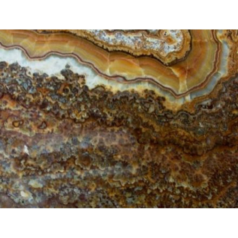 Turkey Seyitgazi Brown Onyx