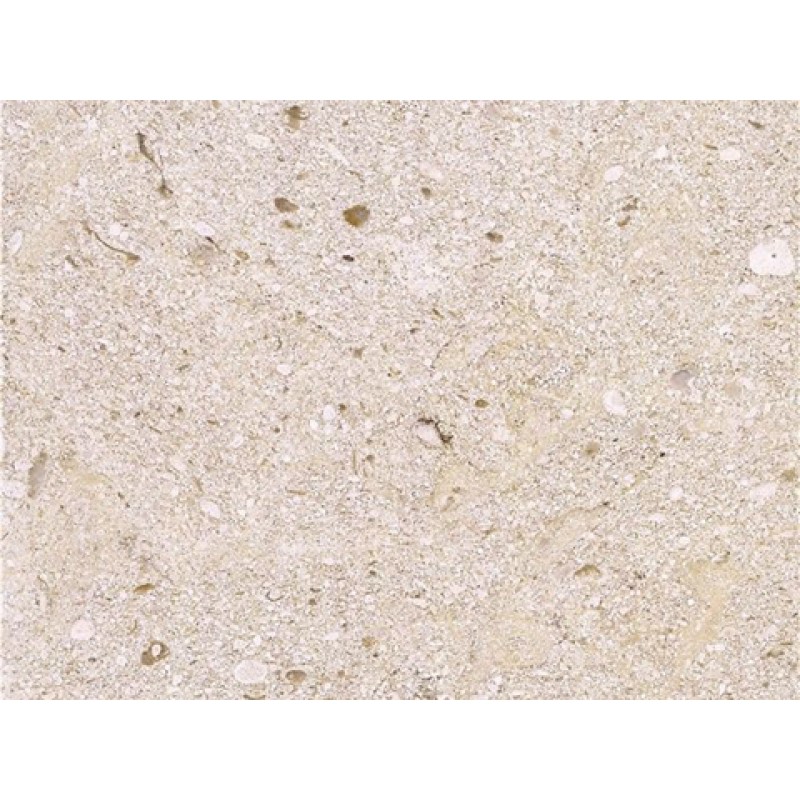 China Beige Dali Stone Marble