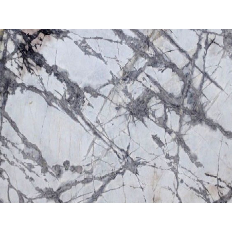 Italy Forest White Marble