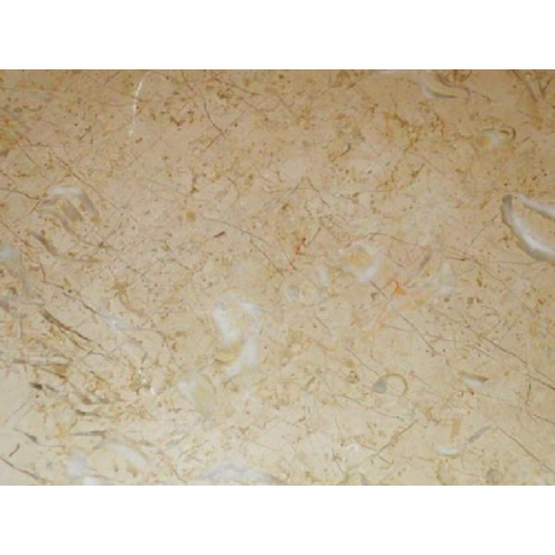 Turkey Silifke Fossil Beige Marble