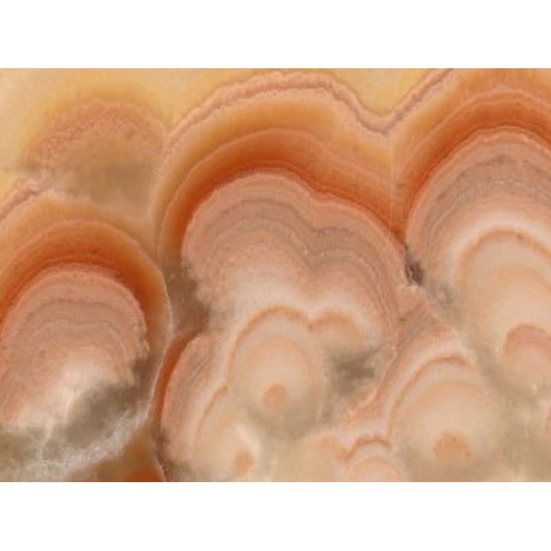 Mexico Yellow Onyx Pina