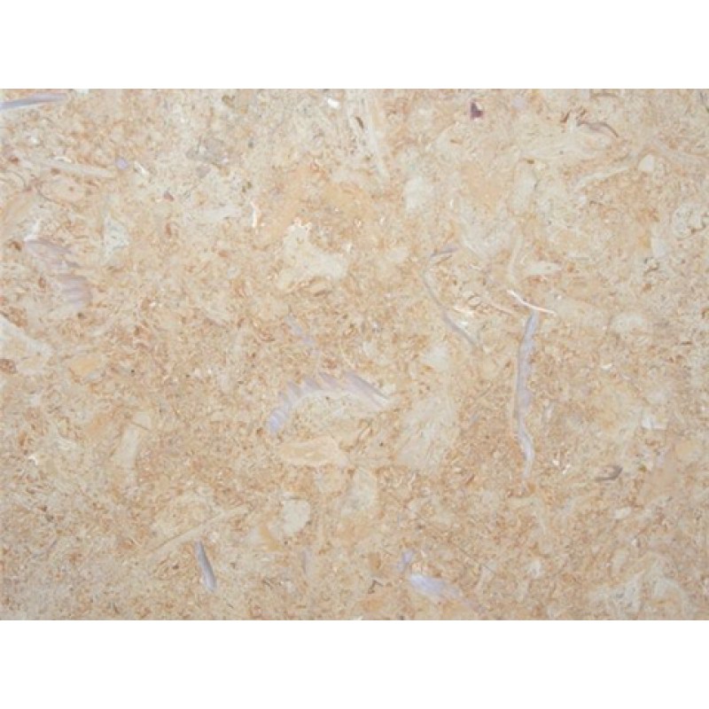 Tunisia Yellow Golden Africa Marble