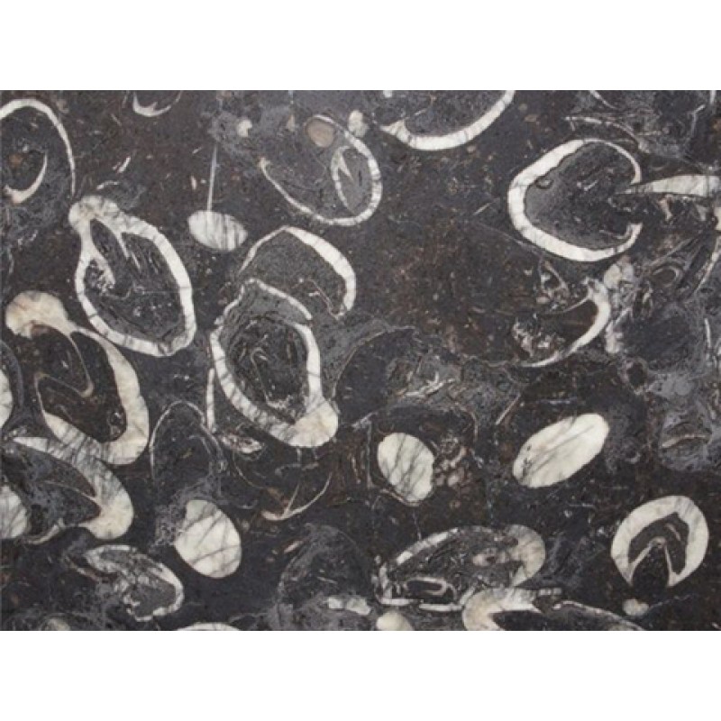 China Black Deep Sea Marble