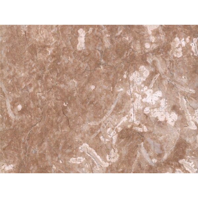 Mexico Brown Nogal Fiorito Marble