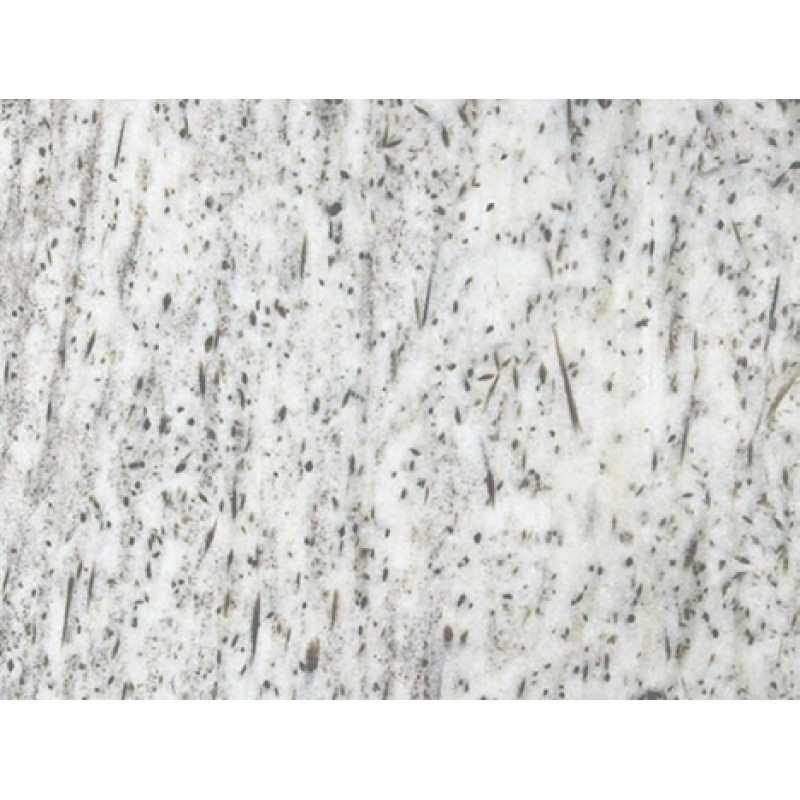 India White Panther Marble