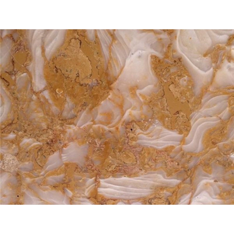 Syria Yellow Golden Shell Marble