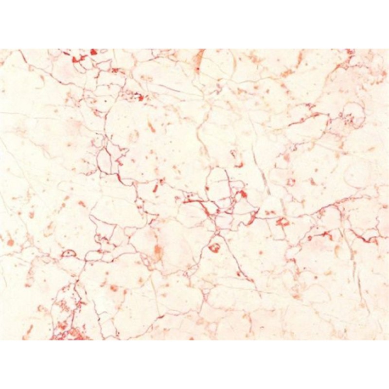 Turkey Pink Ivory Rosalia Marble