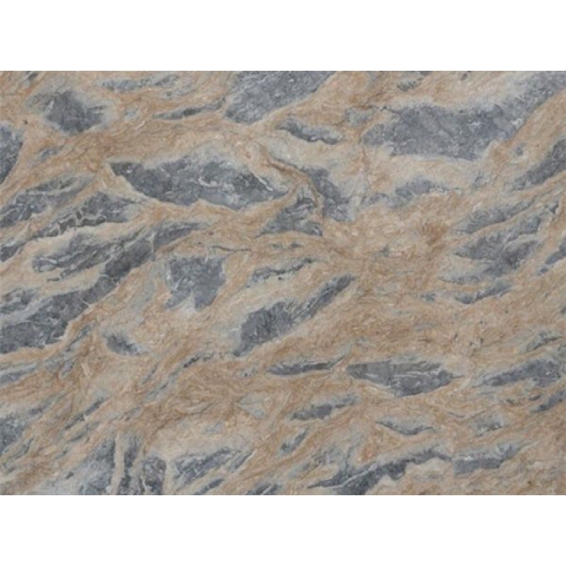 China Multicolor Forest Wood Marble