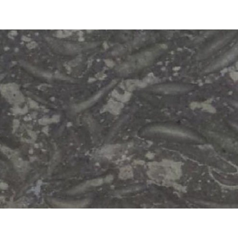 Indonesia Active Gray Marble