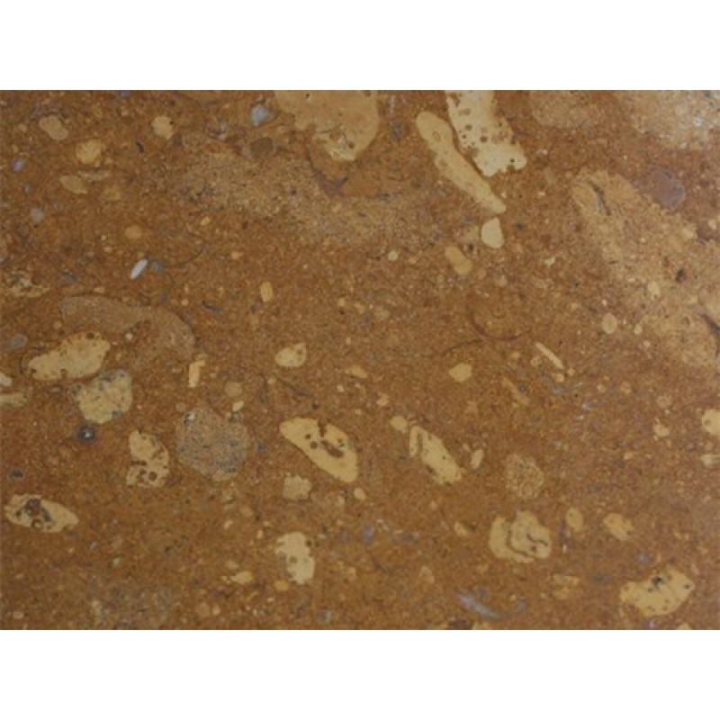 India Brown Star Gold Marble