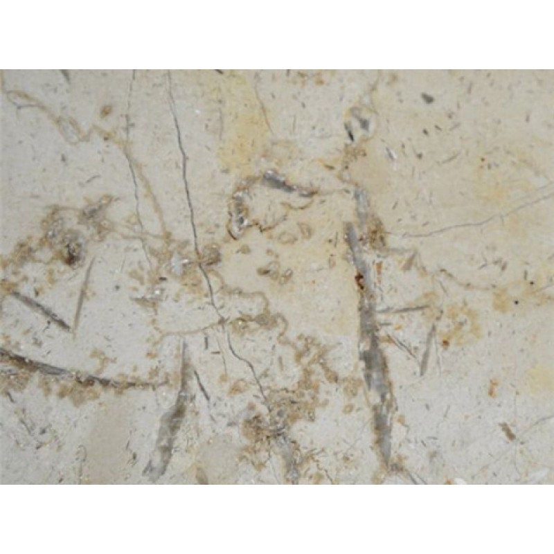 Costa Rica Beige Cafe Pinta Marble