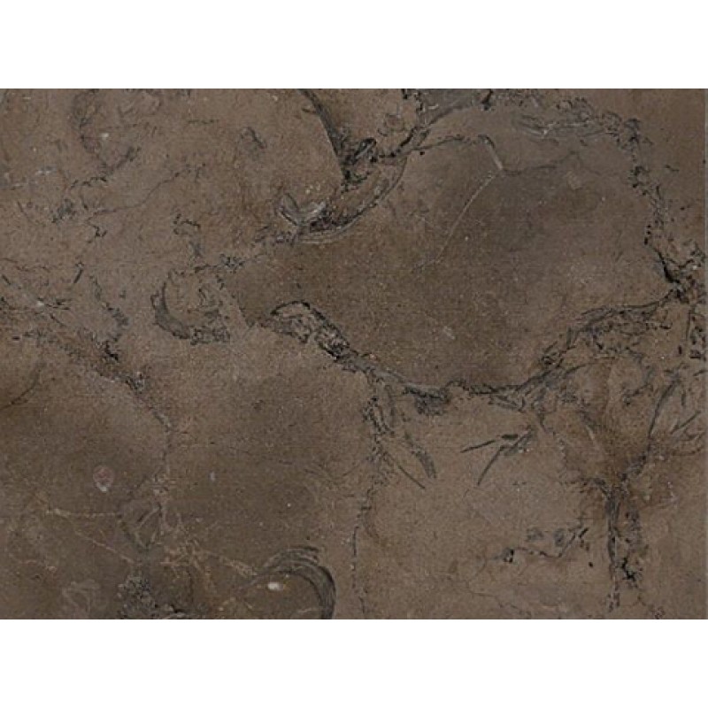 Egypt Sicilia Brown Marble