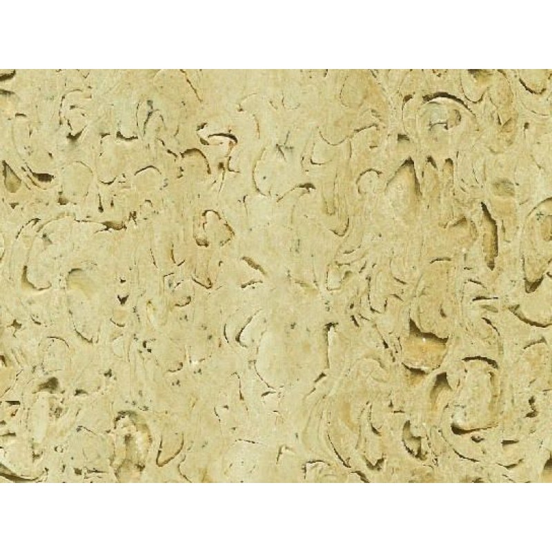  Turkey Mussel Stone Travertine