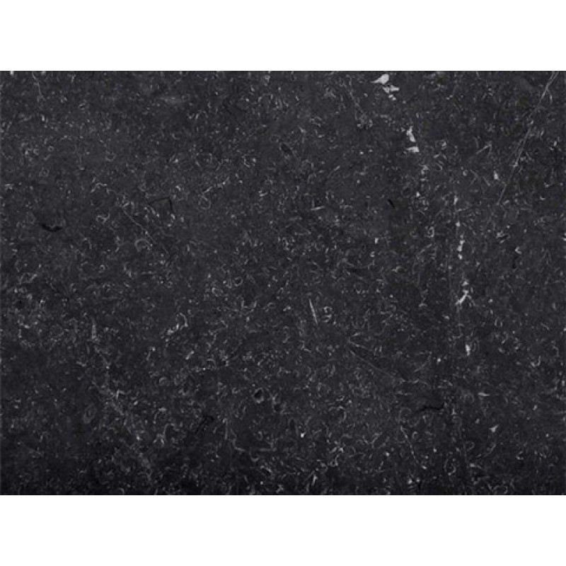 Italy Black Grigio Chicciolato Marble