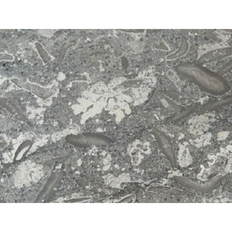 China Gray Flower Marble