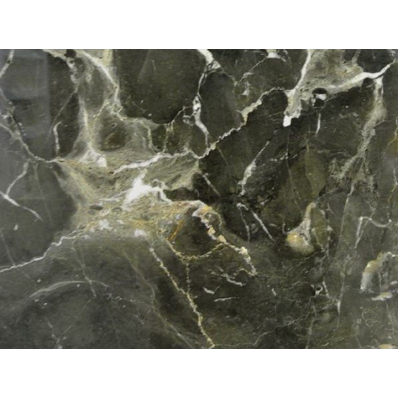 China Black Bauhinia Flower Marble