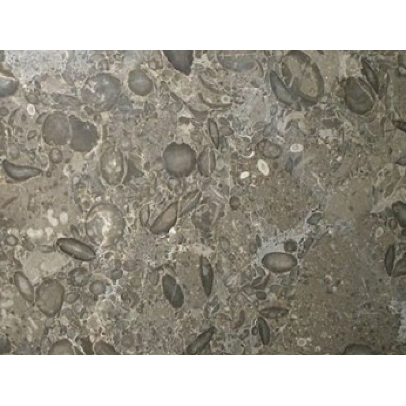 Pakistan Oceanic Grey Marble