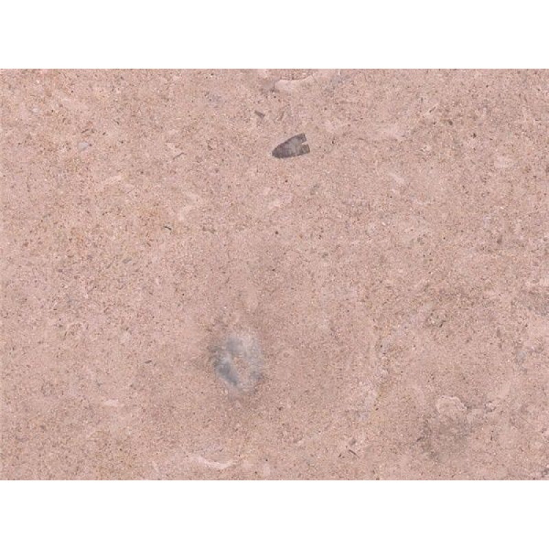  Spain Beige Telluride Gold Sandstone