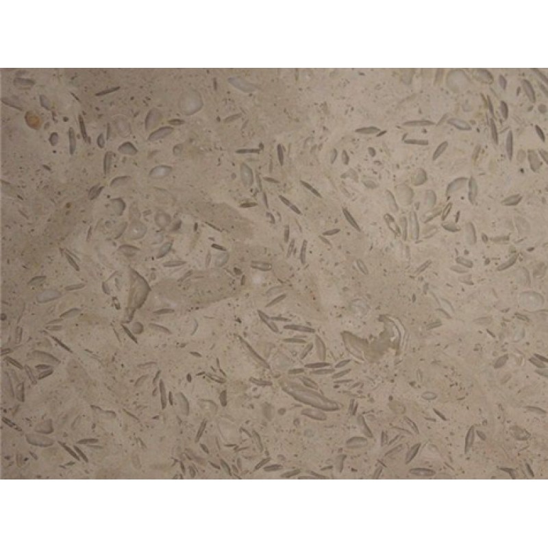 Turkey Dark Fossil Beige Marble