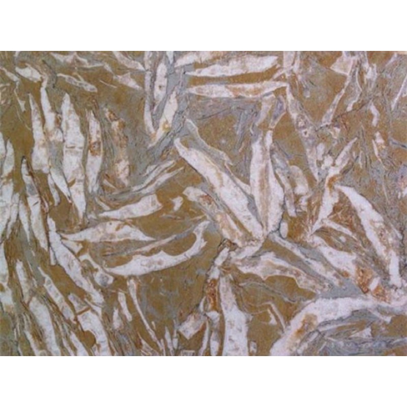 Italy Yellow Breccia Dorata Marble