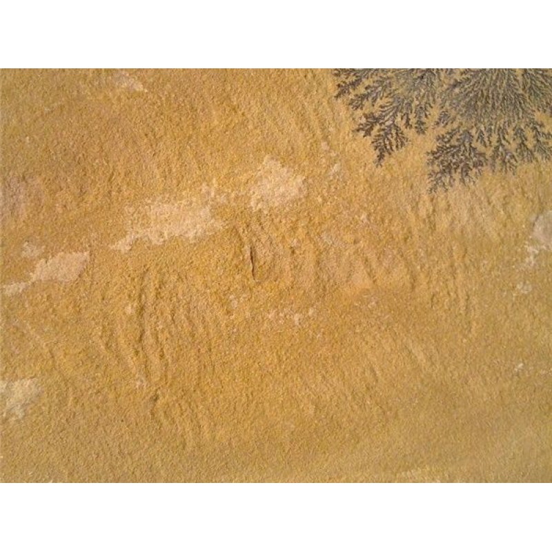  SpainYellow  Piedra Laja Amarilla Sandstone