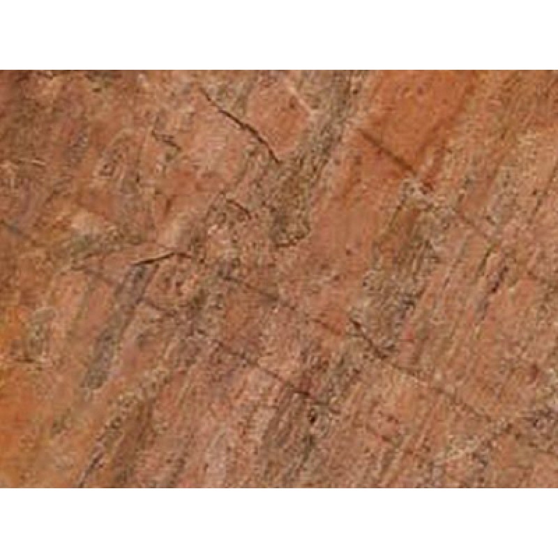 Canada Red Limberlost Salmon Quartzite