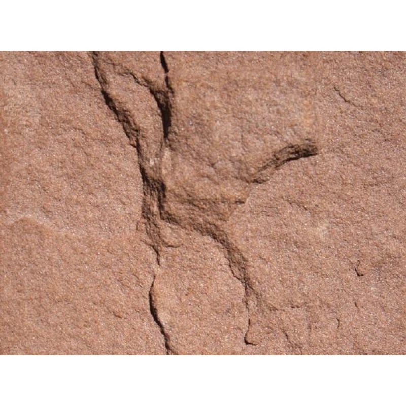 UK Sosnowica Red Sandstone