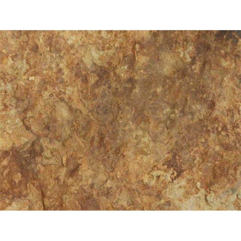  Italy Gold  Morayma Sandstone