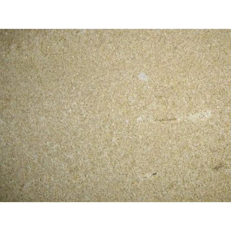 China Beige Sandstone