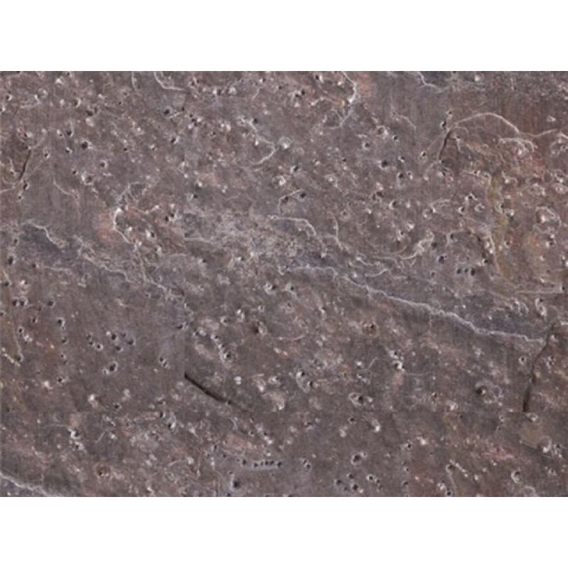 India Brown Metal Red Quartzite