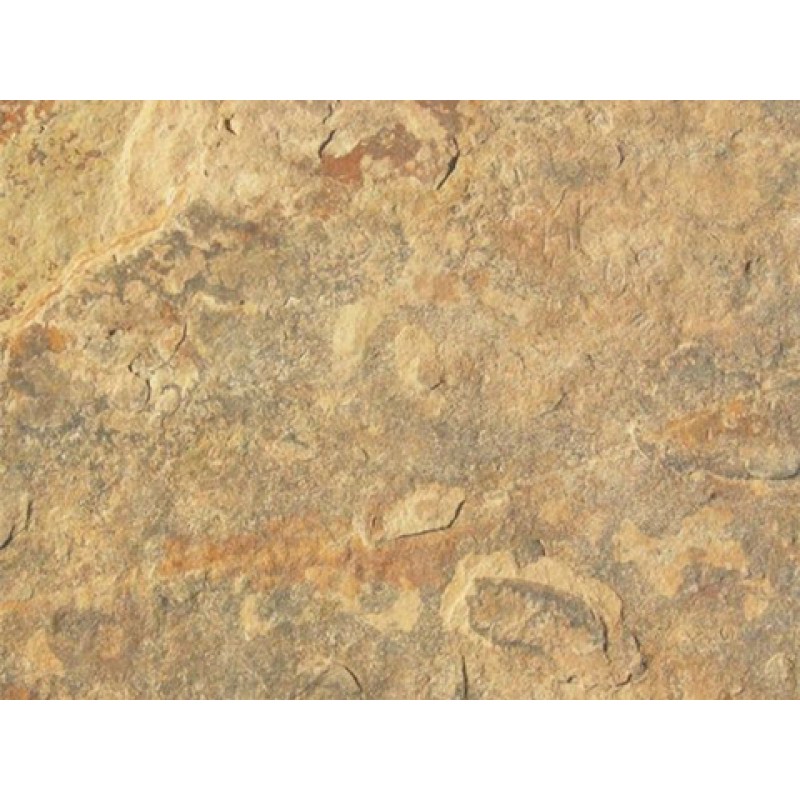 United States Yellow Sonoran Gold Quartzite