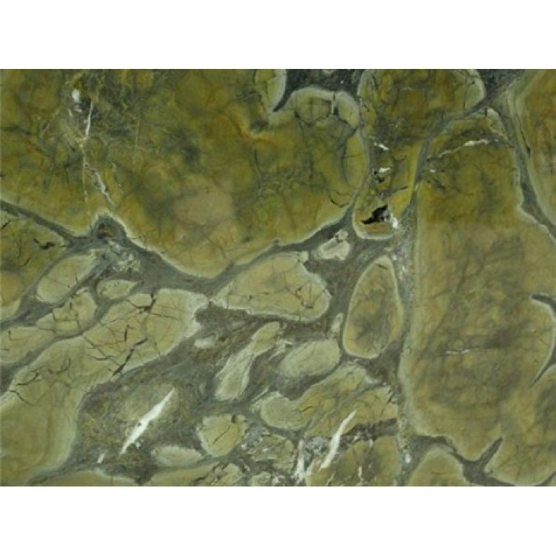 Brazil Green Vitoria Regia Quartzite