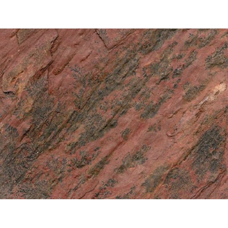 India Red Copper Quartzite