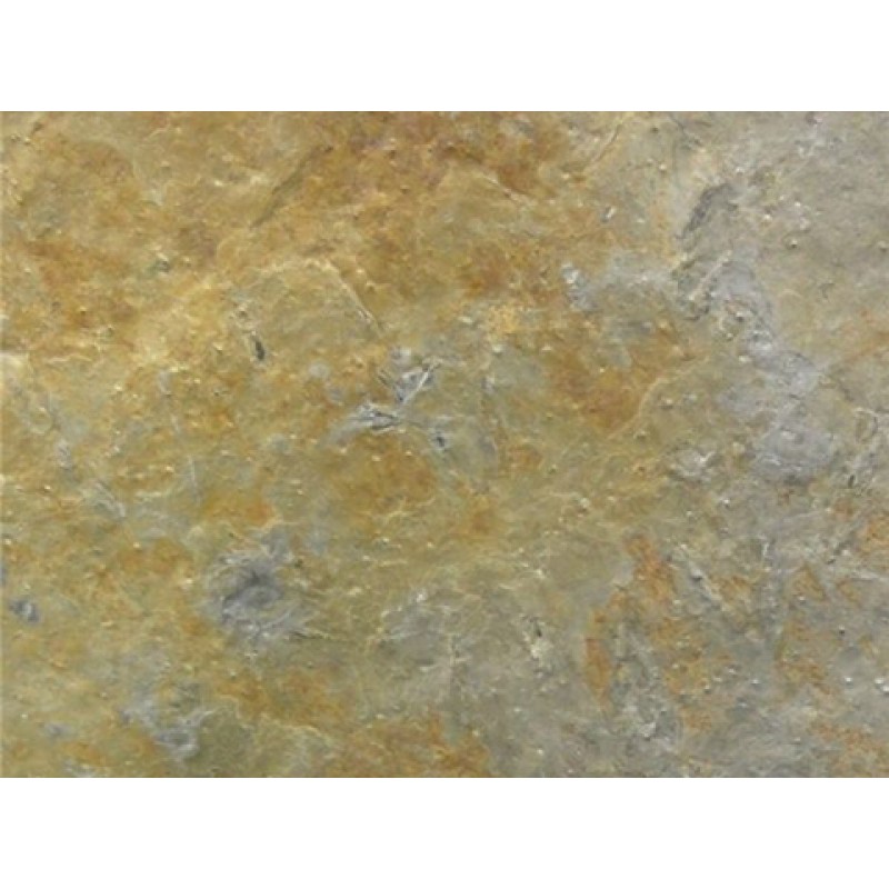 Norway Gold Otta Rust Quartzite