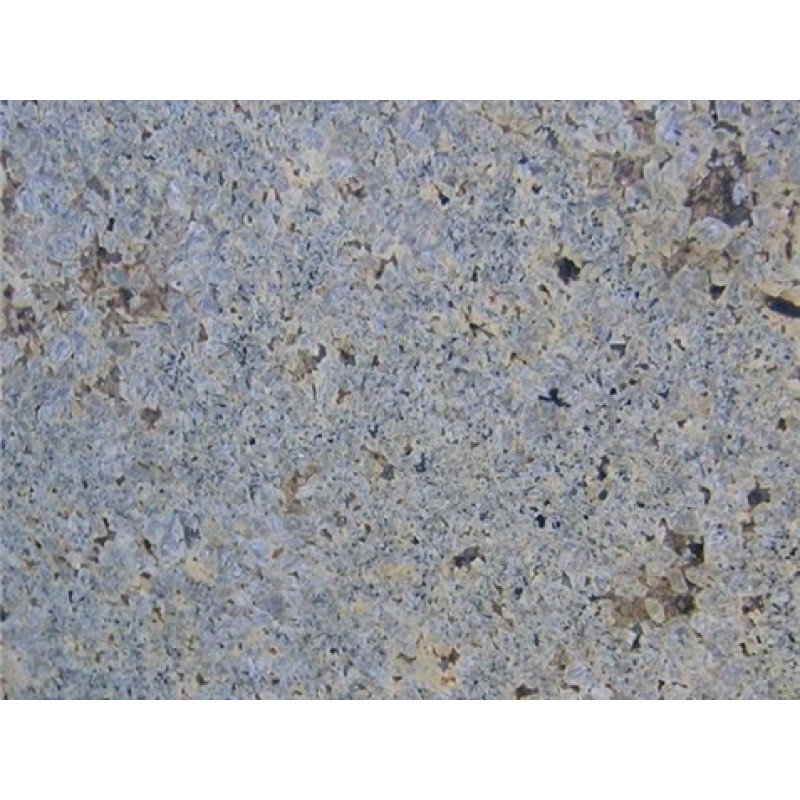 Brazil Green Silver Seafoam Granite