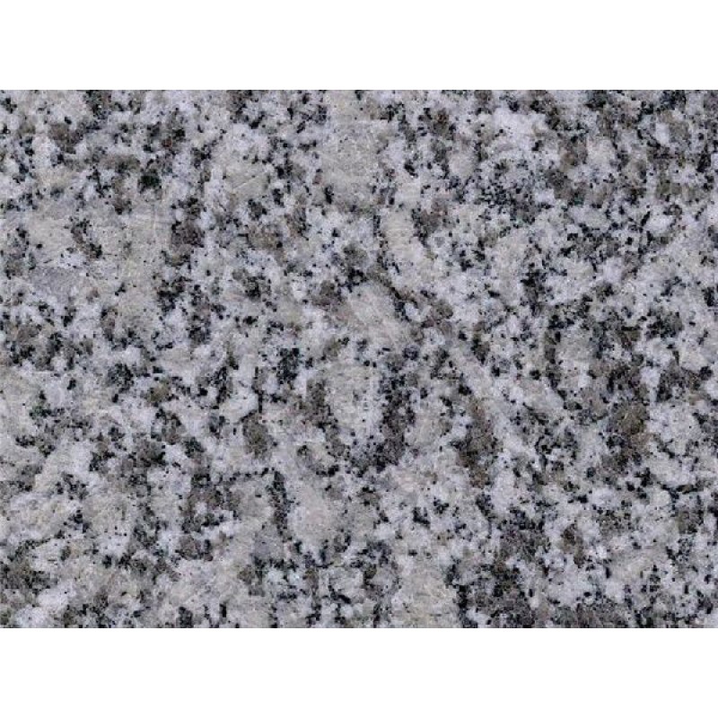 Brazil Shell Gray Granite