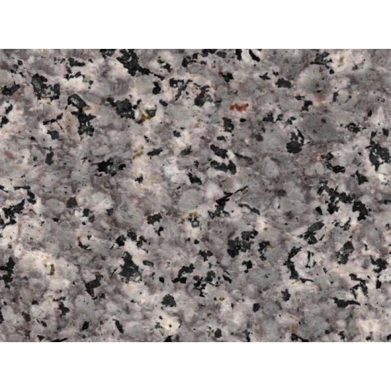  Iran Grey  Maragheh Granite