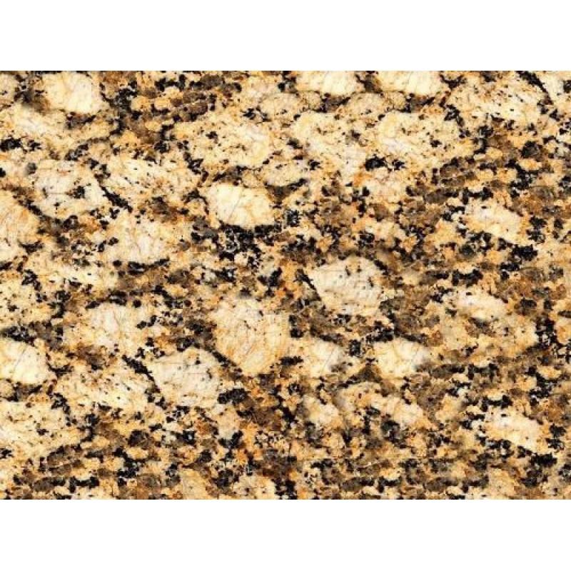  India Yellow  Amarelo Galho  Granite