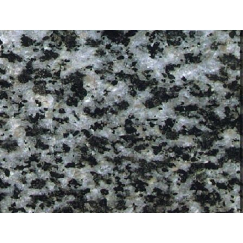 China Grey Panda Flower Granite