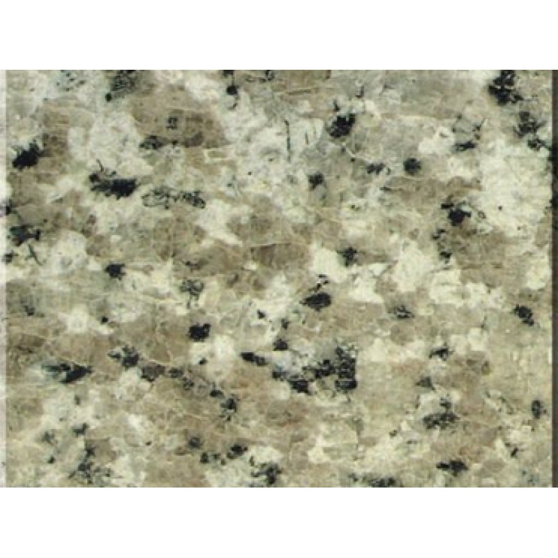 China Gastrodia White Granite