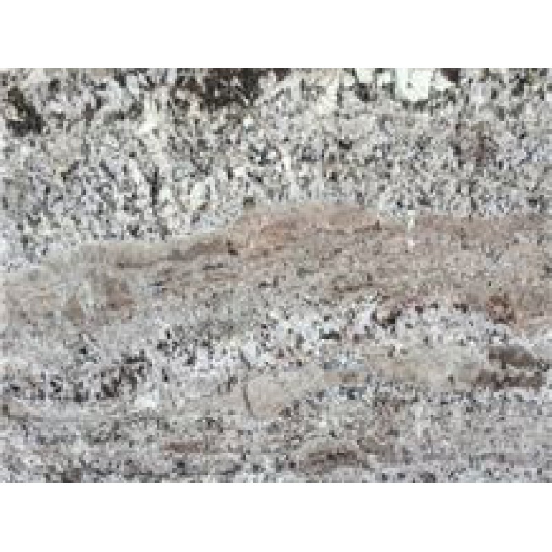  India White Torronzino Granite